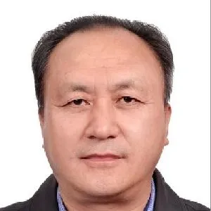张东青