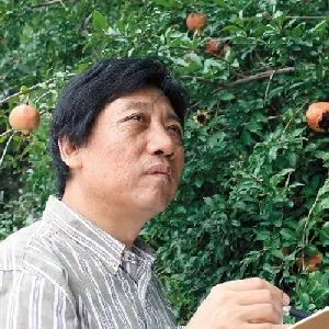 雷家民