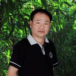 沈少伯