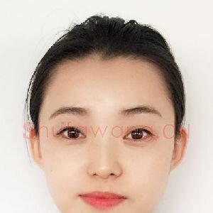 王晨曦