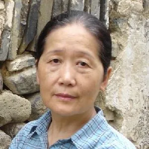 凌启宁