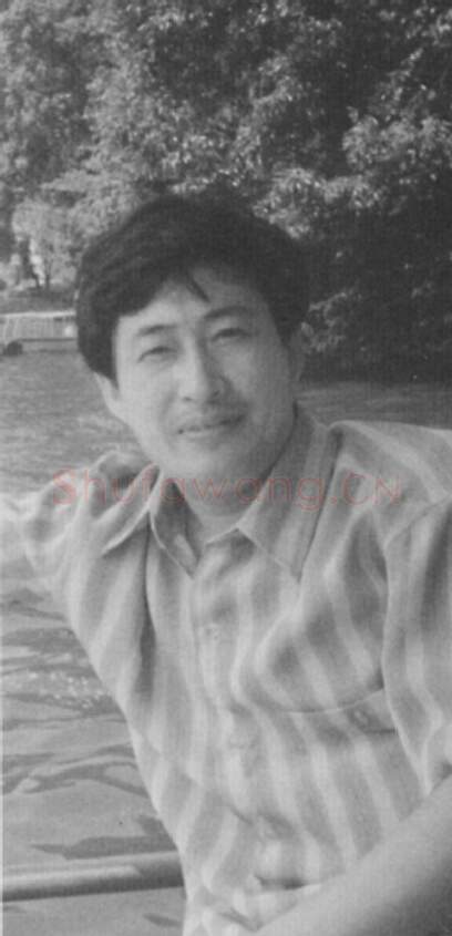 当代书法家胡伦光画像简介,胡伦光书法作品图片