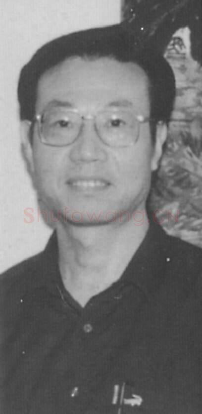 当代书法家潘振元画像简介,潘振元书法作品图片