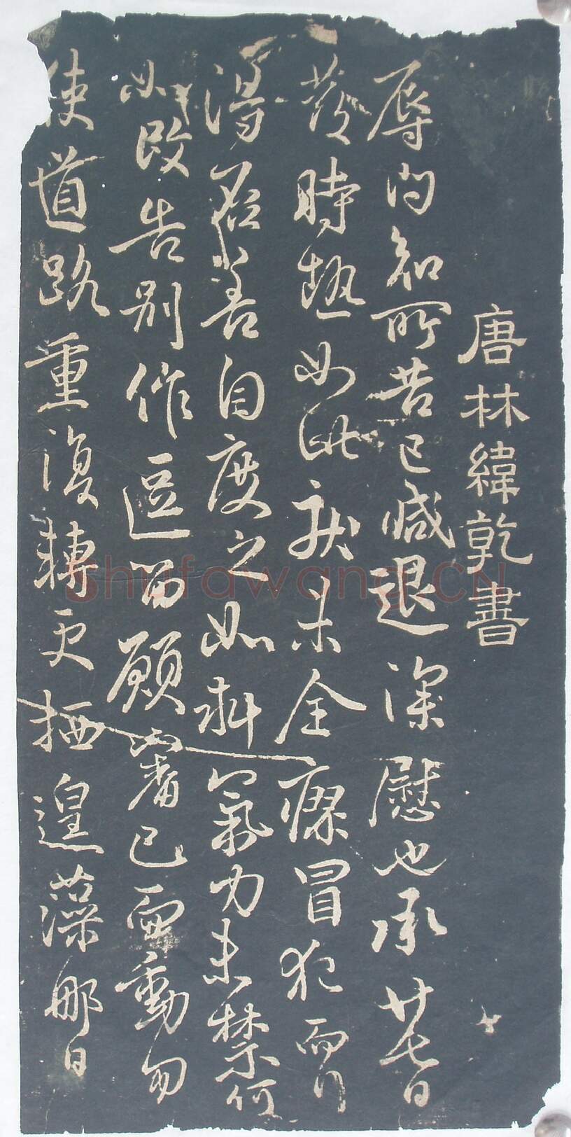 隋唐五代书法家林藻画像简介,林藻书法作品图片