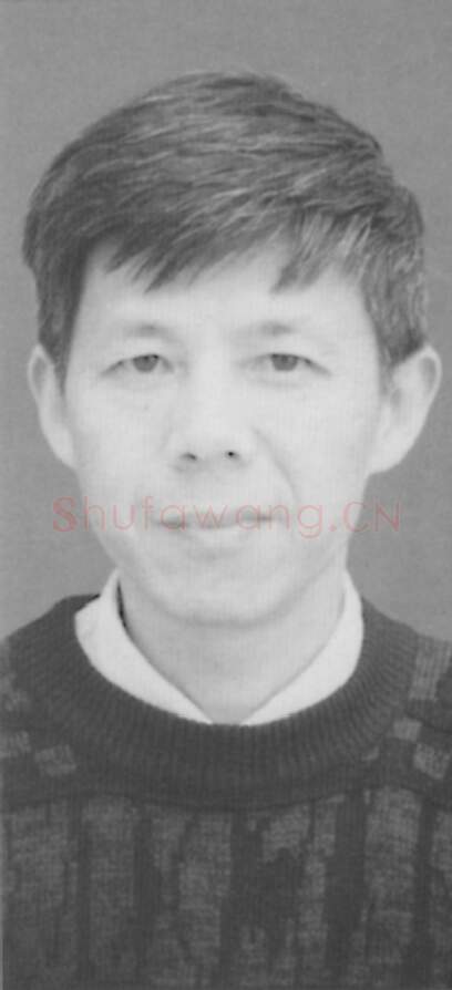 当代书法家王歌之画像简介,王歌之书法作品图片