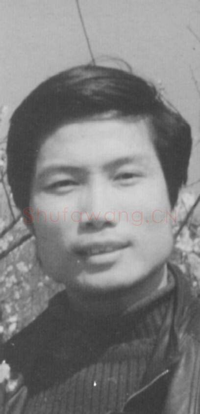 当代书法家王建平画像简介,王建平书法作品图片