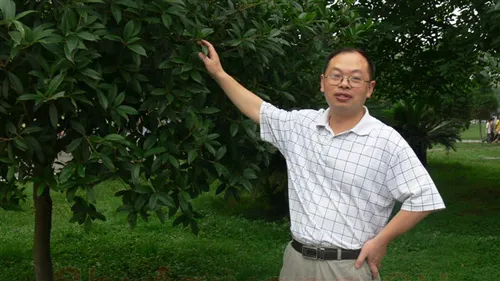 硬笔书法家(黄瑷辉)人物介绍及硬笔书法作品欣赏