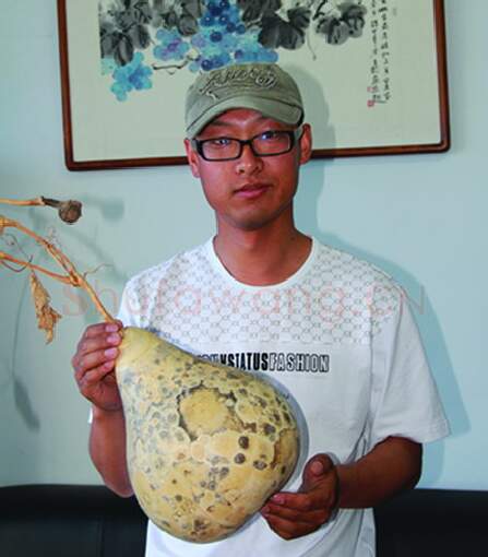 硬笔书法家(阚学英)人物介绍及硬笔书法作品欣赏