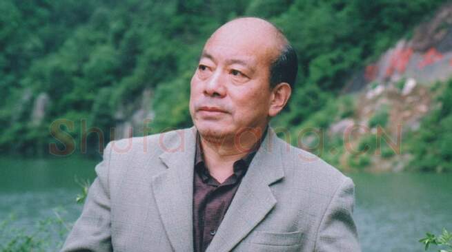 硬笔书法家(沈鸿根)人物介绍及硬笔书法作品欣赏