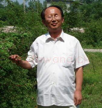 硬笔书法家(杨国桓)人物介绍及硬笔书法作品欣赏