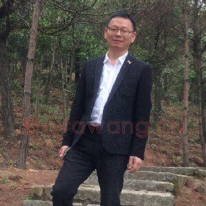 粘振利