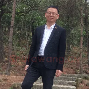 粘振利