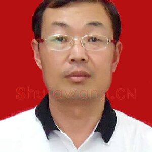 王保元