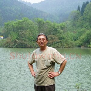 王晋元