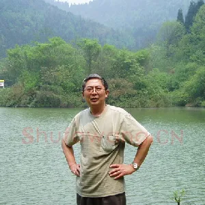 王晋元
