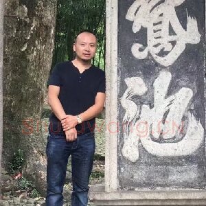 文伟军