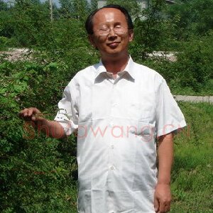 杨国桓