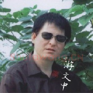 游文中