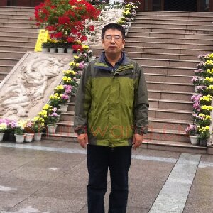 张毅君
