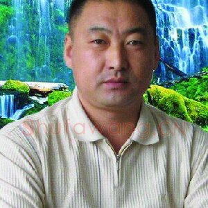 张义武