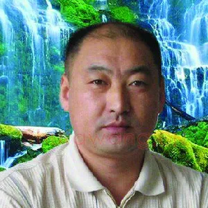 张义武