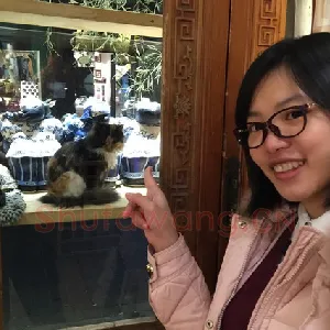 庄婷婷