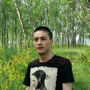 踪飘