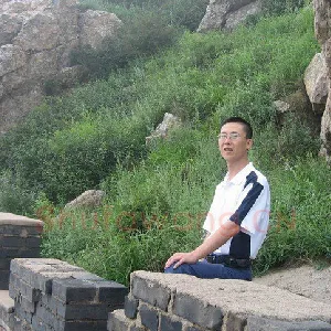 曹阳