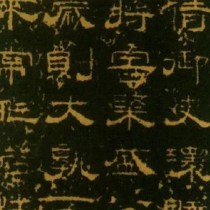 蔡有邻
