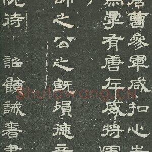 顾诫奢