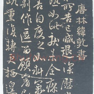 林藻