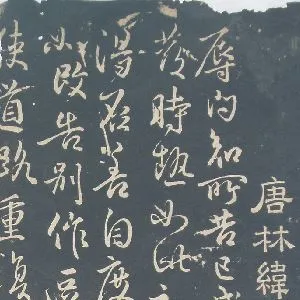 林藻
