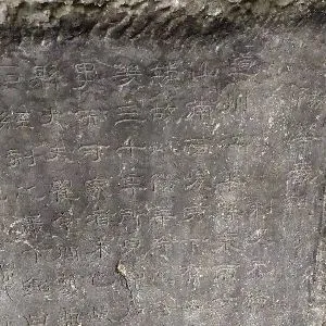 瞿令问