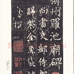 沈传师