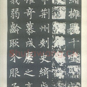 王知敬