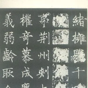 王知敬