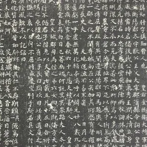 邬肜