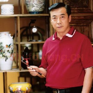 范振斌