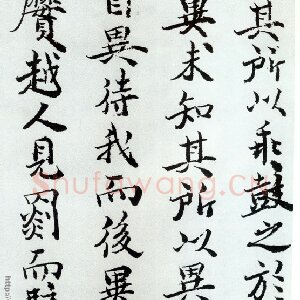 曹善