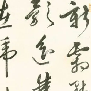 杜大绶