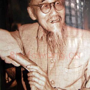 陆抑非