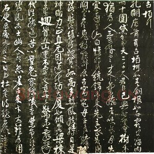 任询