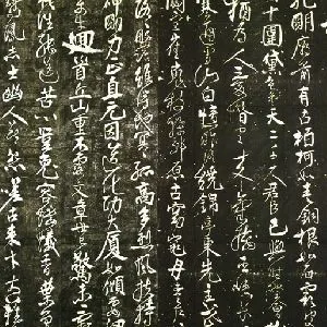 任询