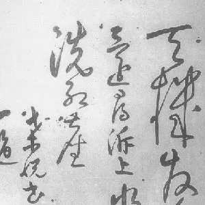 桑悦