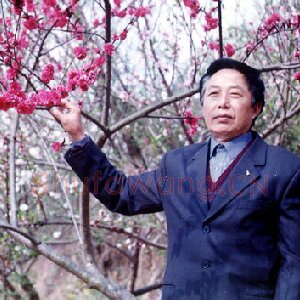 胡文才
