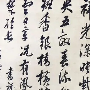 魏儒鱼