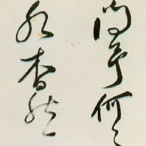 严衍