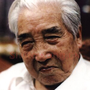武中奇