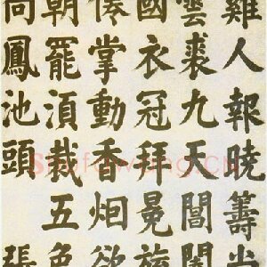 张电