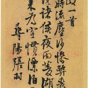 张羽